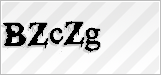CAPTCHA security code