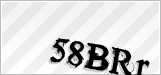CAPTCHA security code