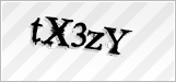 CAPTCHA security code