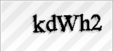 CAPTCHA security code