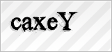 CAPTCHA security code
