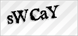 CAPTCHA security code