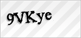 CAPTCHA security code