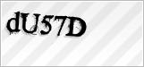 CAPTCHA security code