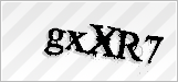 CAPTCHA security code