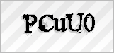 CAPTCHA security code