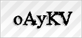 CAPTCHA security code