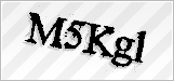 CAPTCHA security code
