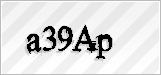 CAPTCHA security code