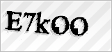 CAPTCHA security code