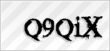 CAPTCHA security code