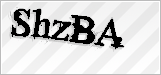 CAPTCHA security code