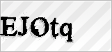 CAPTCHA security code