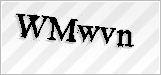 CAPTCHA security code