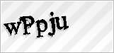 CAPTCHA security code