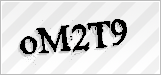 CAPTCHA security code