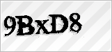 CAPTCHA security code