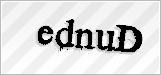 CAPTCHA security code