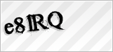 CAPTCHA security code
