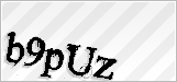 CAPTCHA security code