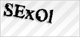 CAPTCHA security code