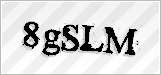 CAPTCHA security code