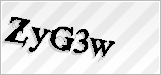 CAPTCHA security code