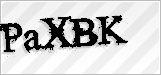CAPTCHA security code