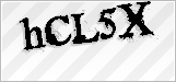 CAPTCHA security code