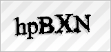 CAPTCHA security code