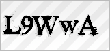 CAPTCHA security code