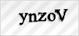 CAPTCHA security code