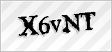CAPTCHA security code