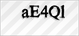 CAPTCHA security code