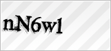 CAPTCHA security code