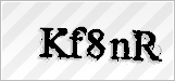 CAPTCHA security code