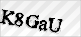 CAPTCHA security code