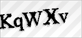 CAPTCHA security code