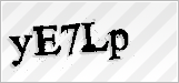 CAPTCHA security code
