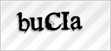 CAPTCHA security code