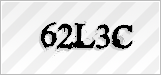 CAPTCHA security code