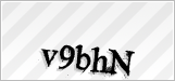 CAPTCHA security code