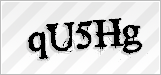 CAPTCHA security code