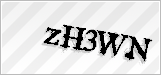 CAPTCHA security code