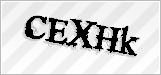 CAPTCHA security code