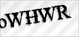 CAPTCHA security code