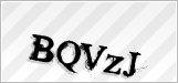 CAPTCHA security code