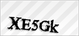CAPTCHA security code