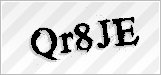 CAPTCHA security code