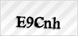 CAPTCHA security code